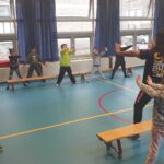 NDMHP - capoeira